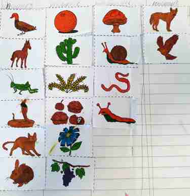 Visible Learning: Year 4 Ashton Visible Learning: Year 4 Ashton